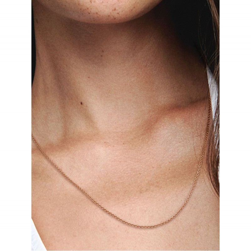 Catenina-580413