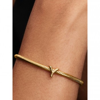 Charm Lettera Y piccola